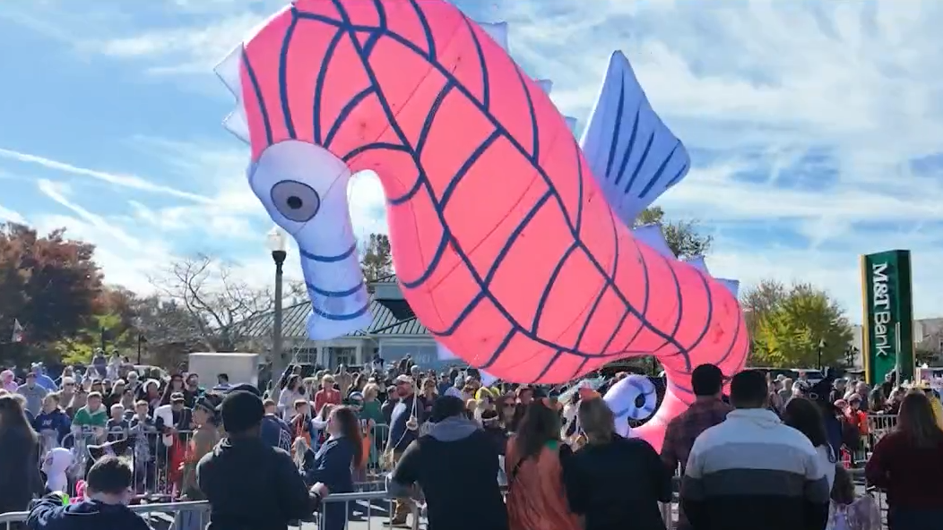 City of Rehoboth Beach breaks down Sea Witch Festival efforts